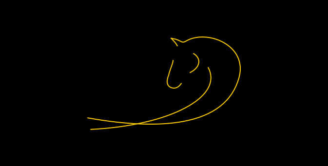 pferd equinova immunsystem